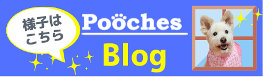 Poochesの合同レッスンとイベントブログ