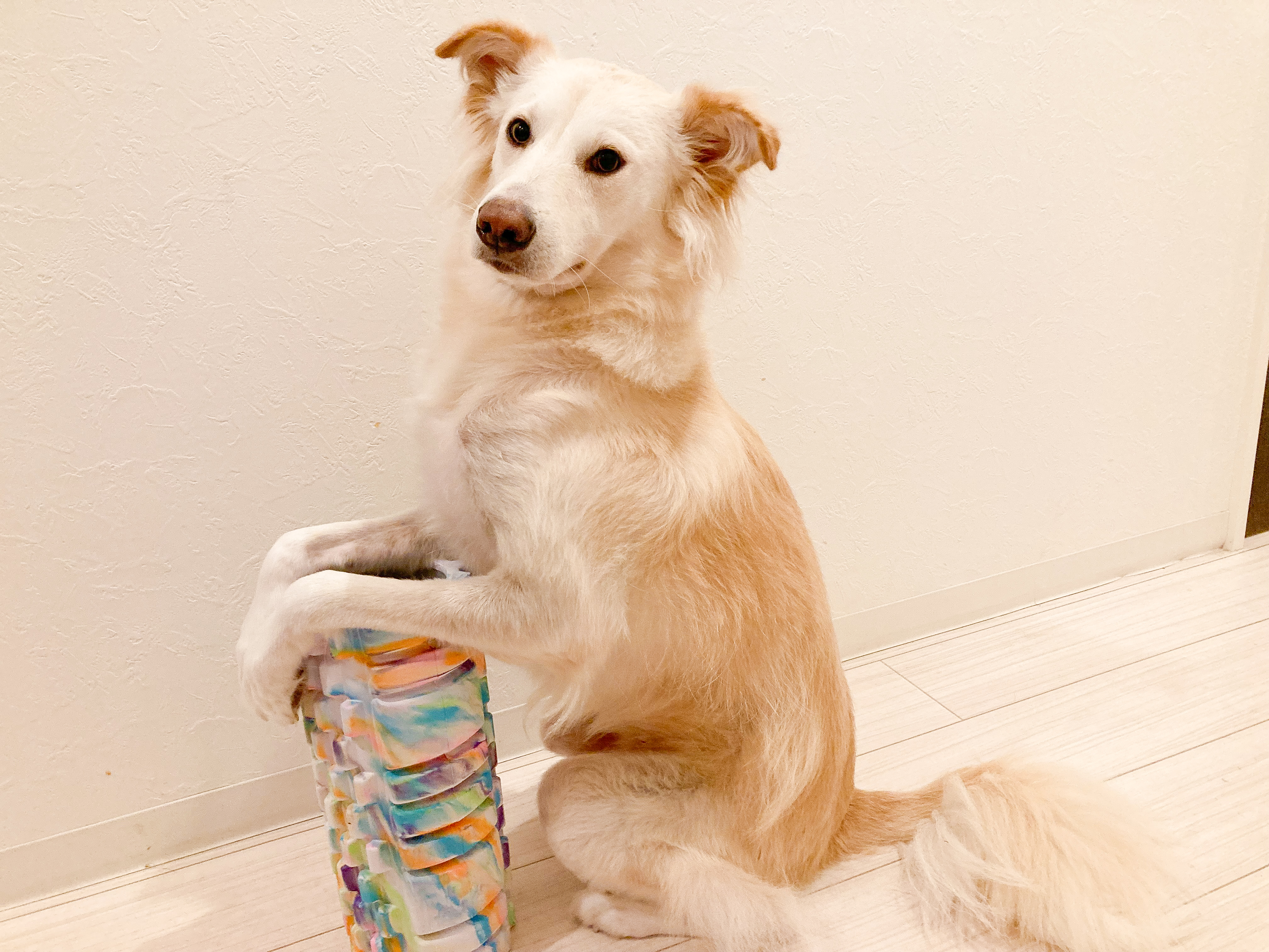 自己解決能力ＵＰトレーニング